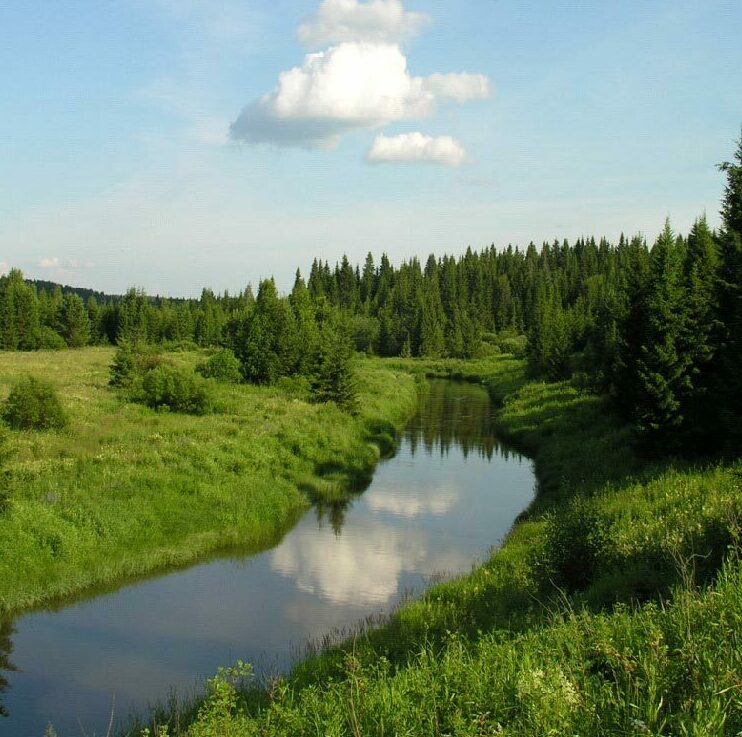 Как получить сертификат участника?